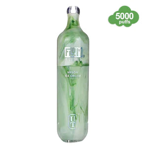 Melon Ice Cream Flum 3000