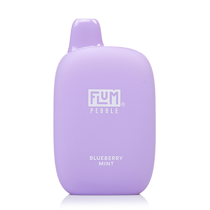 Blueberry Minty Flum Pebble 6000
