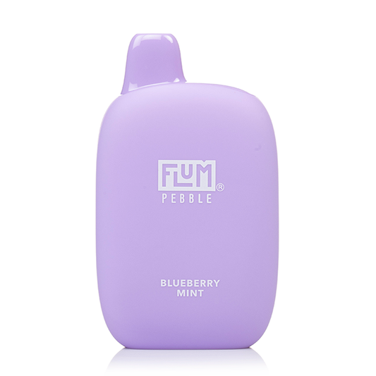 Blueberry Minty Flum Pebble 6000